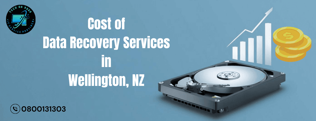 Cost of Data Recovery Services in Wellington, NZ